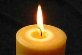 Do Pure Natural Beeswax Honey Candles meet your shopping criteria?