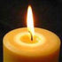 Do Pure Natural Beeswax Honey Candles meet your shopping criteria?